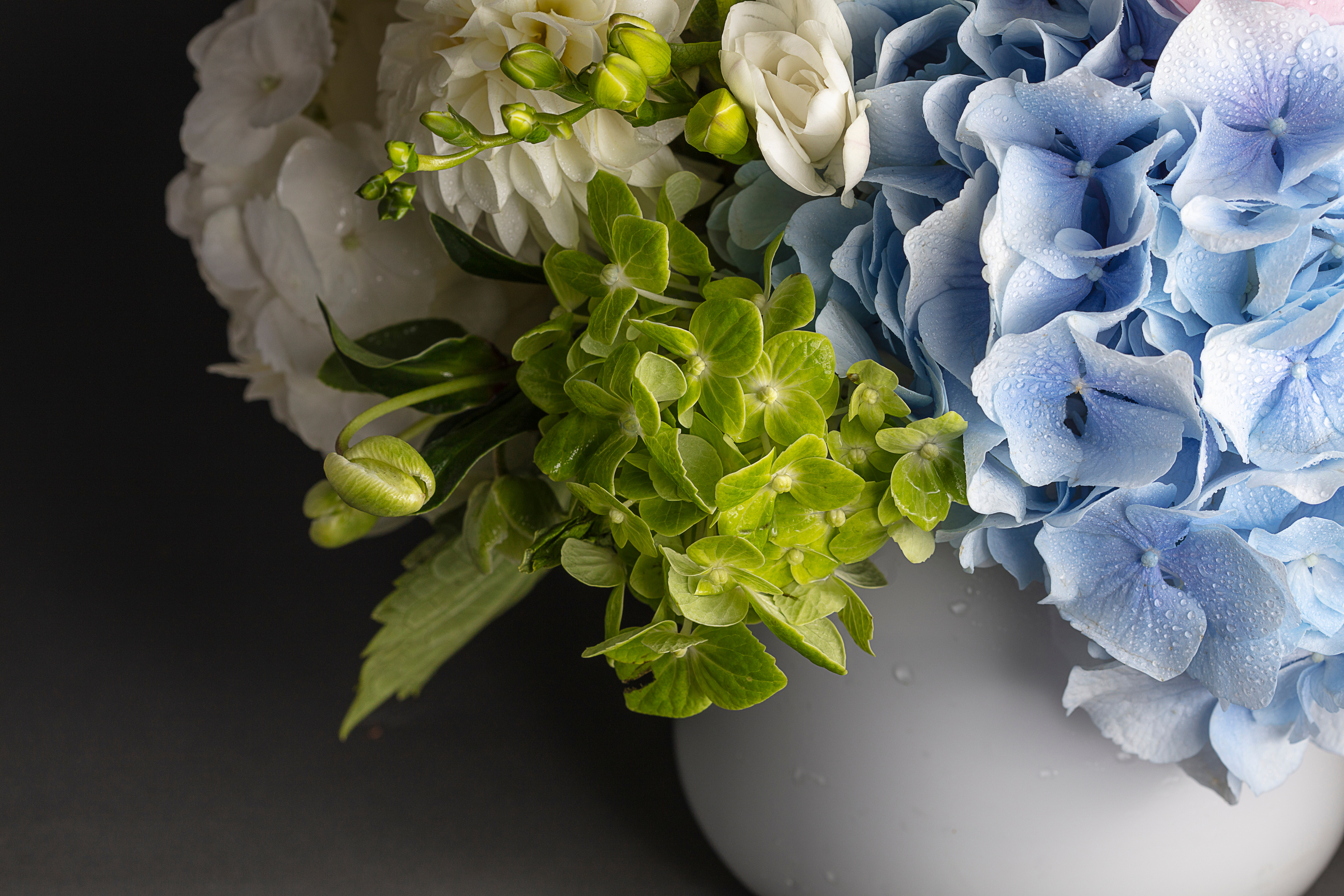 Hydrangea and Freesia arrangement Crop